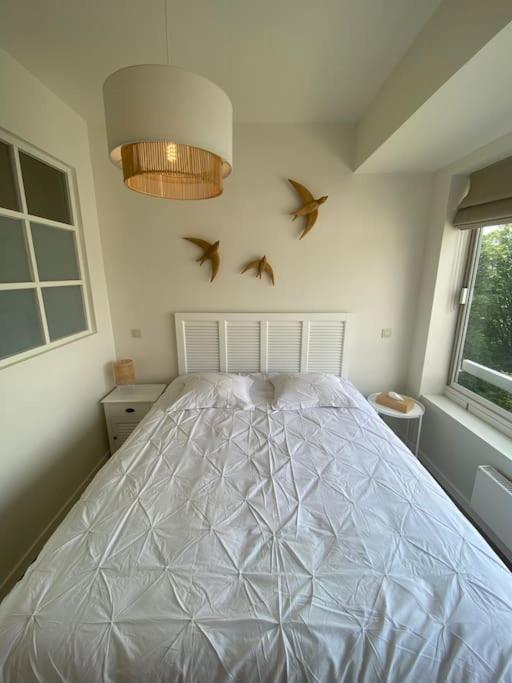 1 Chambre Avec Parking Au Coeur De Bruxelles 2D Bruxelas Exterior foto
